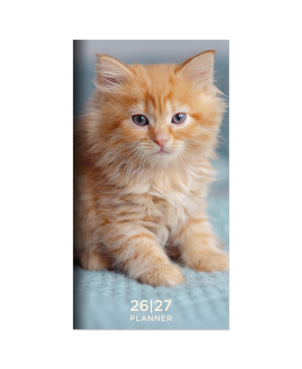 2026-2027 Kitten Small Monthly Pocket Planner - Multicolor