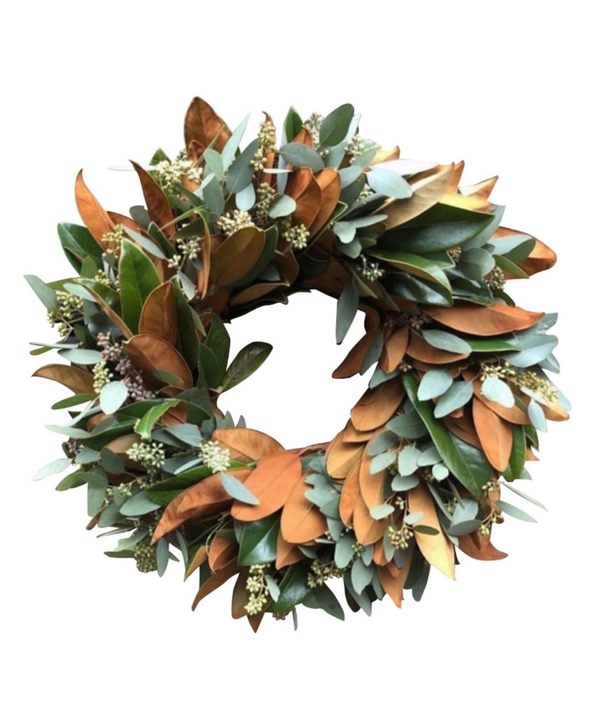Fresh Magnolia and Seeded Eucalyptus Wreath, 20" - Open Misce