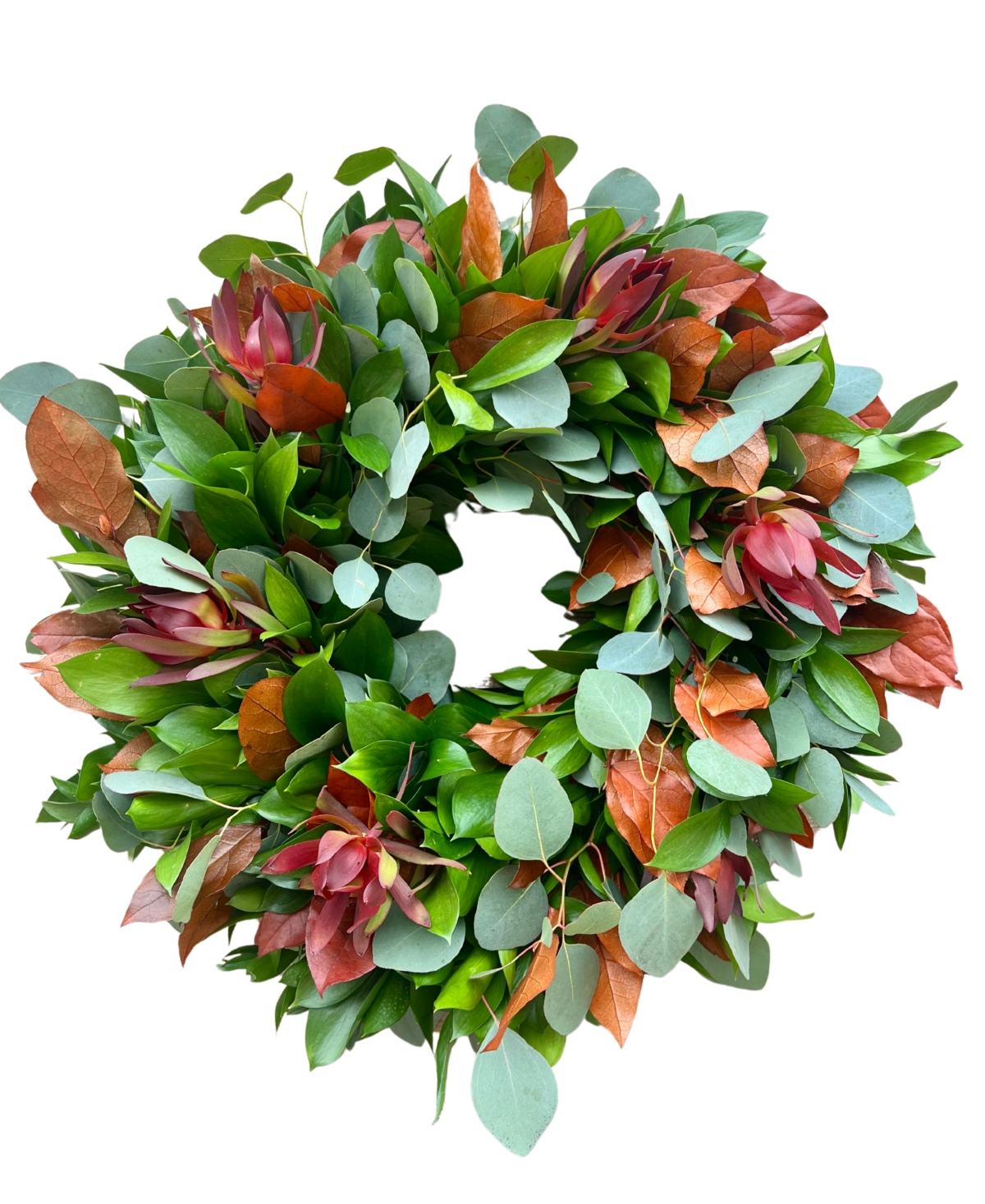 Fall Ruscus, Silver Dollar Eucalyptus, Orange Salal and Red Safari Real Aromatic Wreath, 22"