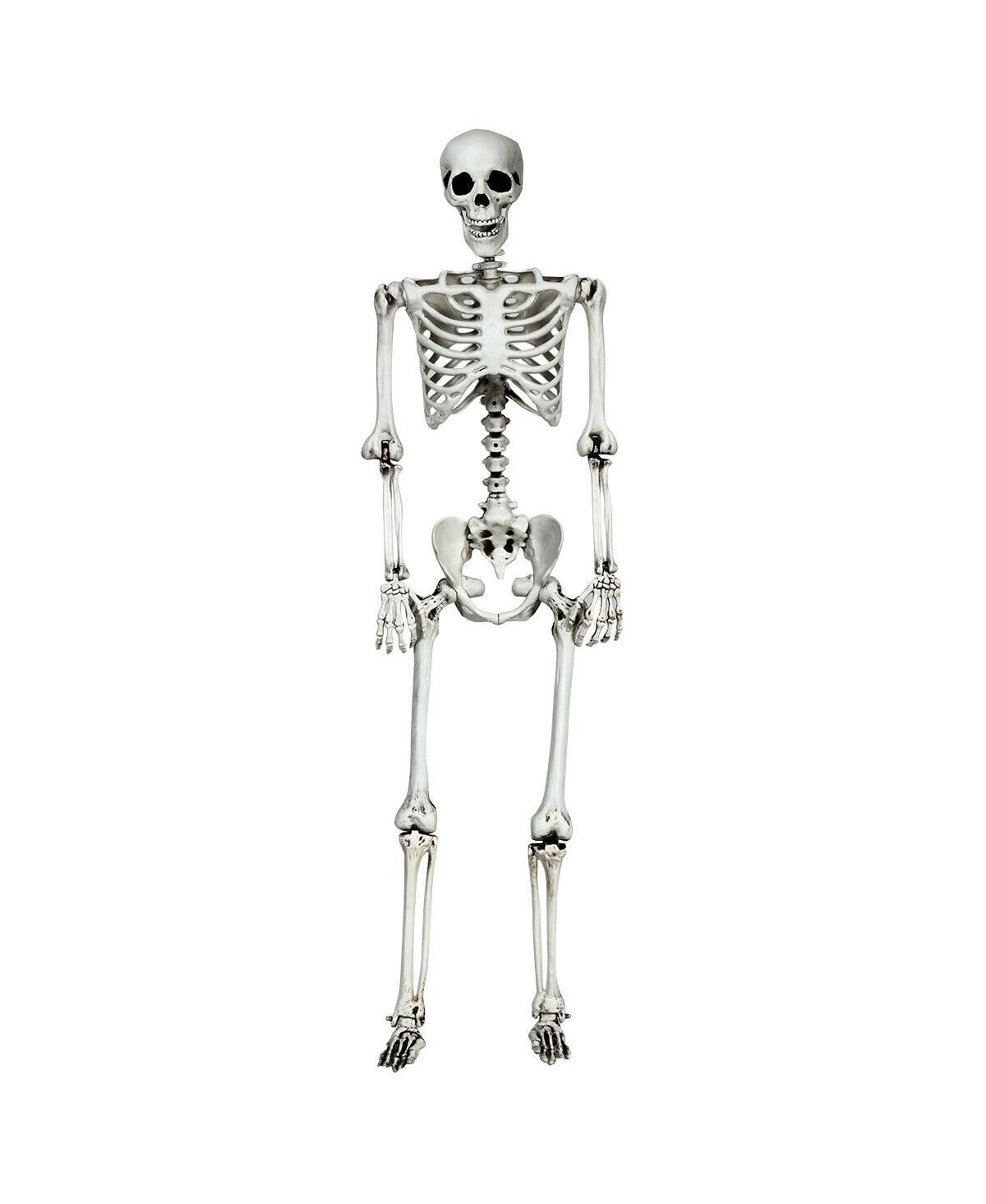 5.4 Feet Halloween Skeleton Life Size Realistic Full Body Hanging - White